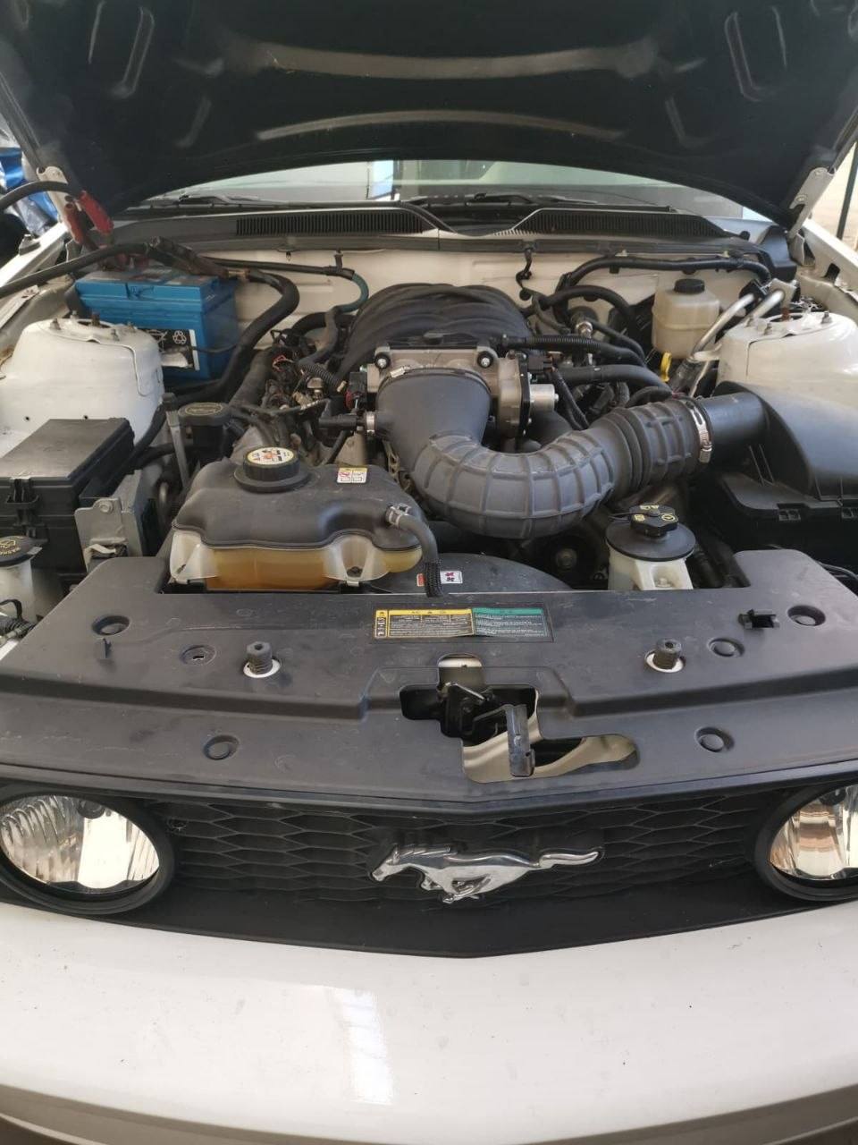 Vano motore Ford Mustang